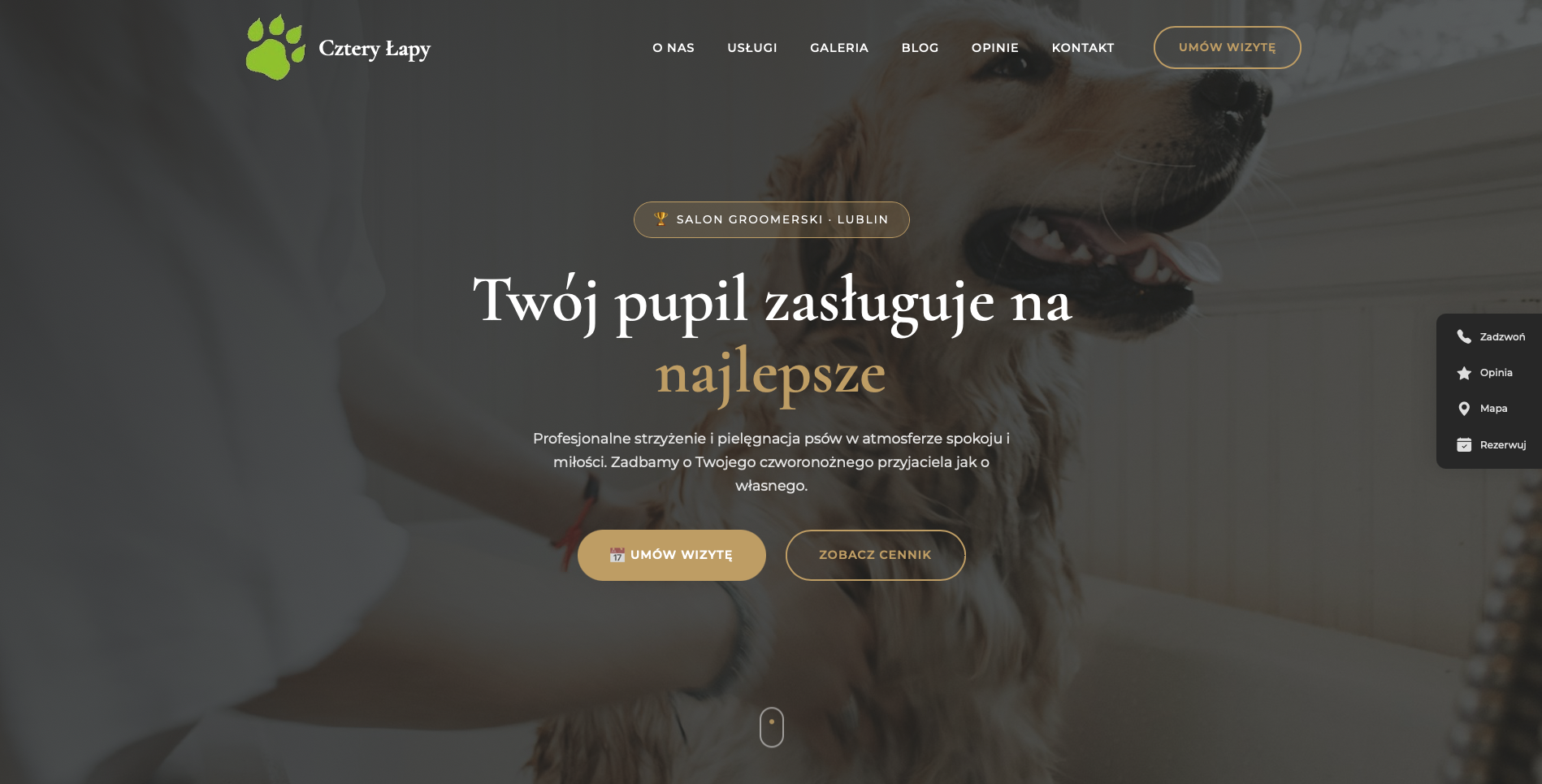 Studio 4 Łapy – Screenshot