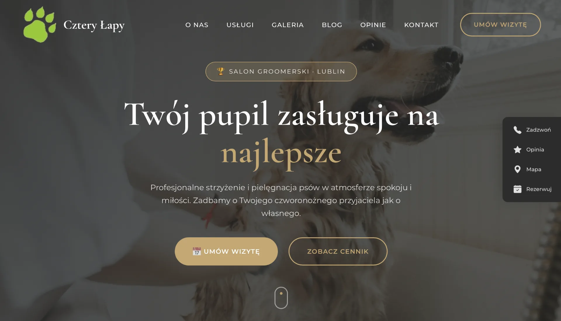 Startseite des Hundesalons Cztery Łapy in Lublin: Golden Retriever beim Fönen, darüber die Überschrift und Knöpfe für Termin und Preisliste